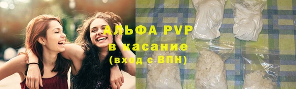PSILOCYBIN Корсаков