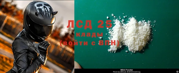 PSILOCYBIN Корсаков