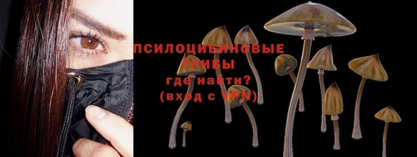 спиды Коряжма