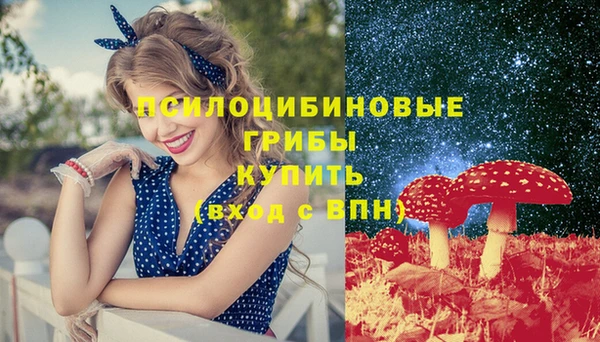 первитин Козельск