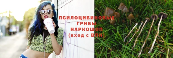 мефедрон мука Кодинск